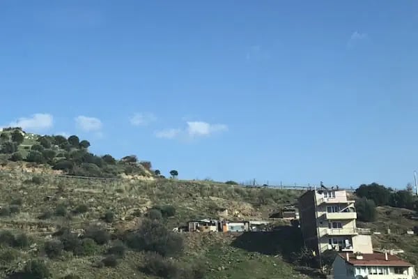 Cetin Emeç Mahalle Muhtarlığı Yeni - Resim 8