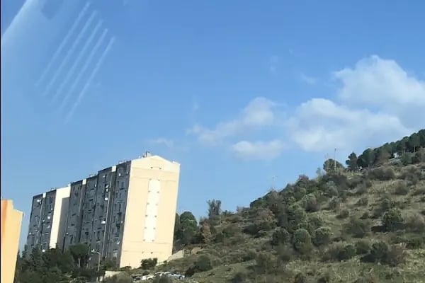 Cetin Emeç Mahalle Muhtarlığı Yeni - Resim 6