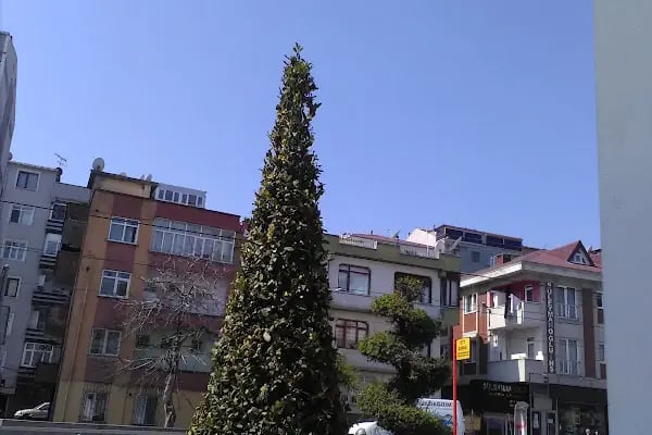 Rasimpaşa Parkı - Resim 3