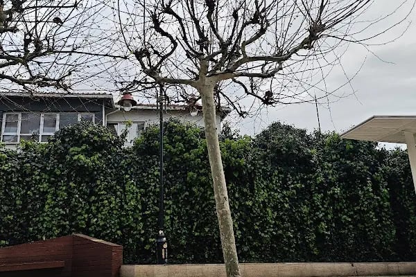 Rasimpaşa Parkı - Resim 9