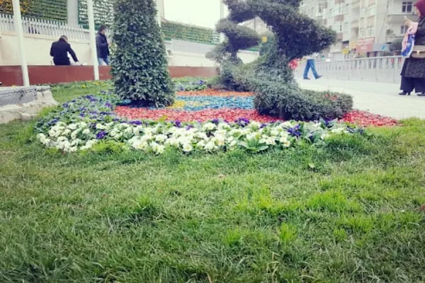 Rasimpaşa Parkı - Resim 12