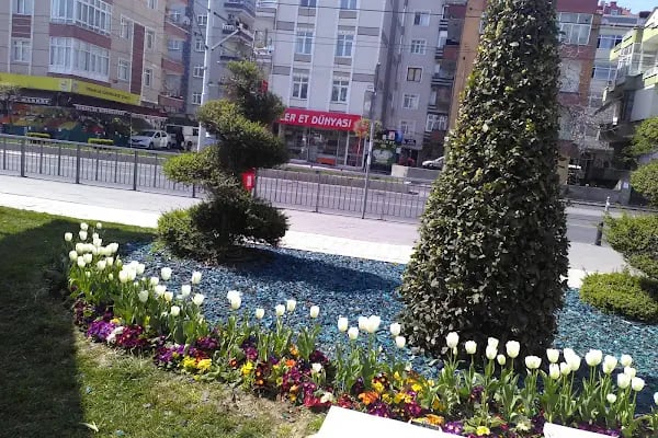 Rasimpaşa Parkı - Resim 17