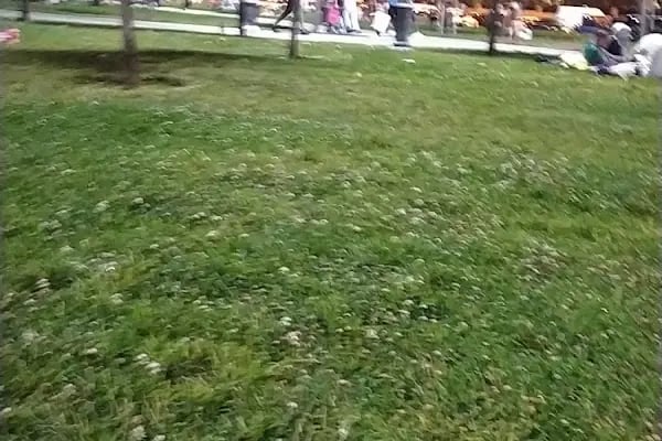 Rasimpaşa Parkı - Resim 18