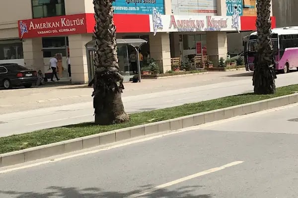 Sakarya Amerikan Kültür Yabancı Dil Kursu - Resim 9