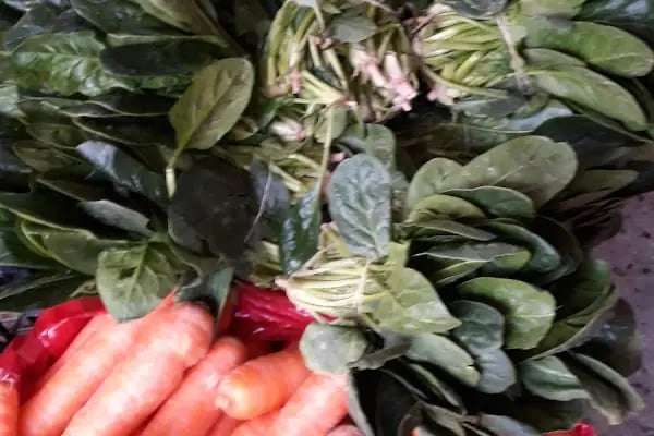Gündoğan Market - Resim 19