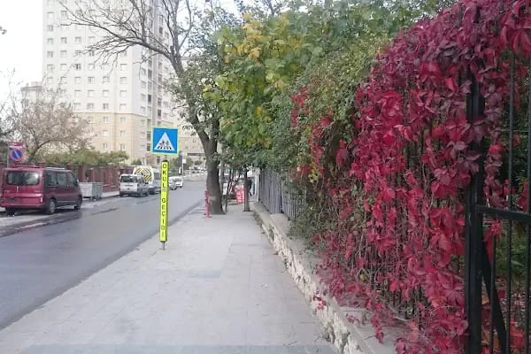 Küçükçekmece Çocuk Parkı - Resim 10