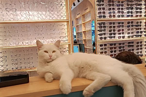 Akdeniz Optik - Resim 11