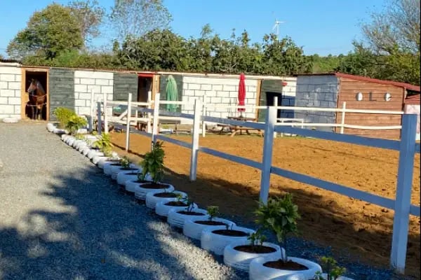 AKROBAT KIYAM AT ÇİFTLİĞİ - Resim 2