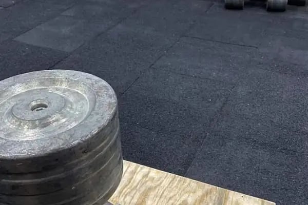 Santa Monica GYM - Güneşli - Resim 9