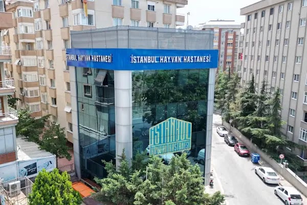İstanbul Hayvan Hastanesi - Resim 7