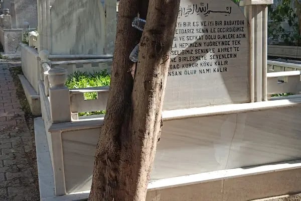 Kemer Mezarlığı - Resim 20
