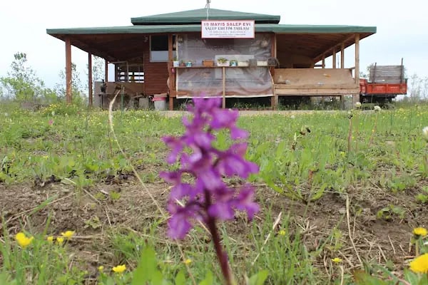 19 Mayıs Bağ Evi - Resim 5