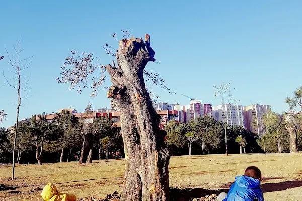 Ataşehir Parkı - Resim 8