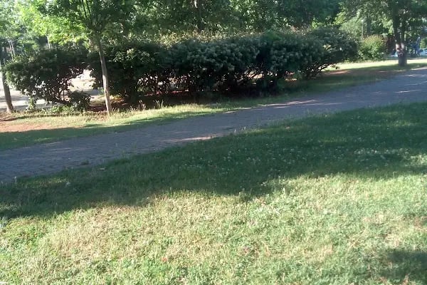 Ataşehir Parkı - Resim 19