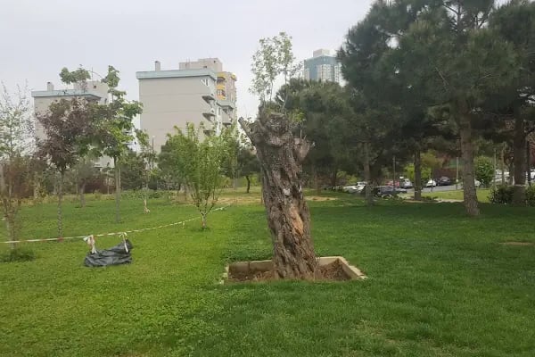 Ataşehir Parkı - Resim 14