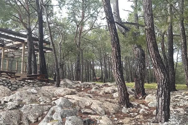 Küçük Çaltıcak plajı - Resim 11