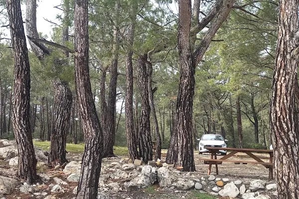 Küçük Çaltıcak plajı - Resim 6