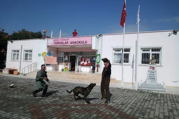 Mersin Toroslar Anaokulu - Resim 17