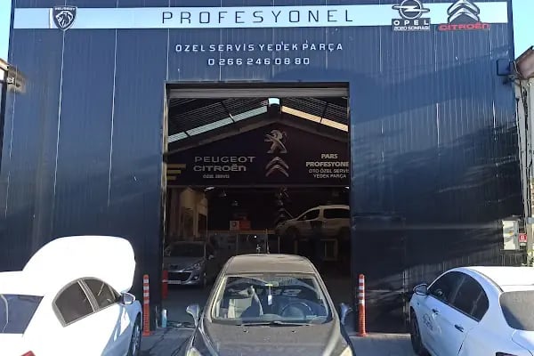 Balıkesir Peugeot Citroen Opel Özel Servis Pars Profesyonel - Resim 2