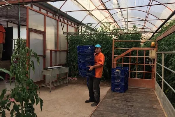 MEYVACILAR2 İTHALAT İHRACAT TİC LTD.ŞTİ ÜRETİM TESİSLERİ - Resim 16