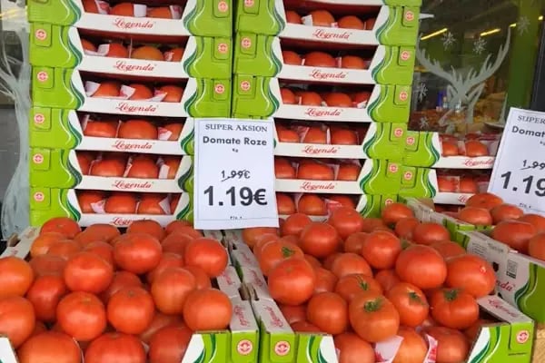 MEYVACILAR2 İTHALAT İHRACAT TİC LTD.ŞTİ ÜRETİM TESİSLERİ - Resim 6