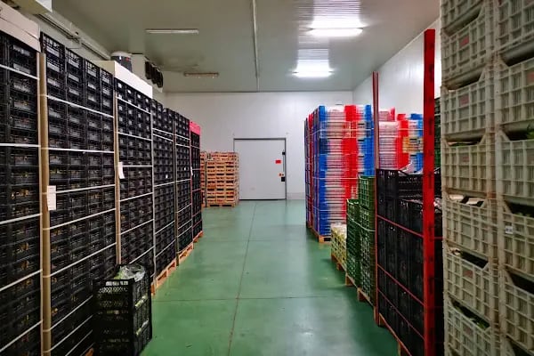 MEYVACILAR2 İTHALAT İHRACAT TİC LTD.ŞTİ ÜRETİM TESİSLERİ - Resim 14