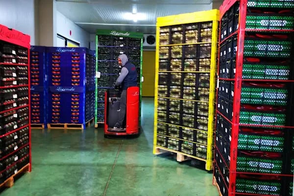 MEYVACILAR2 İTHALAT İHRACAT TİC LTD.ŞTİ ÜRETİM TESİSLERİ - Resim 3