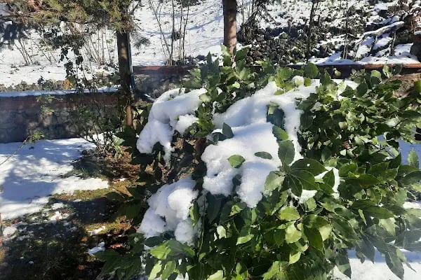 Akçaabat Akçaköy İlkokulu/Ortaokulu - Resim 6