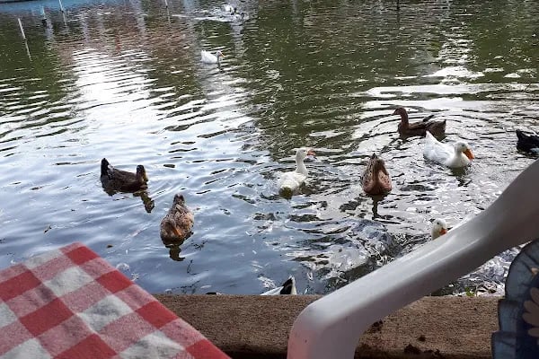 Koşuyolu Parkı - Resim 16