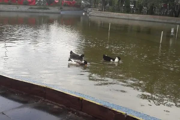Koşuyolu Parkı - Resim 13