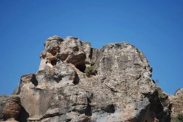 Koşuyolu Parkı - Resim 15