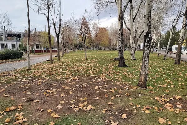Koşuyolu Parkı - Resim 4