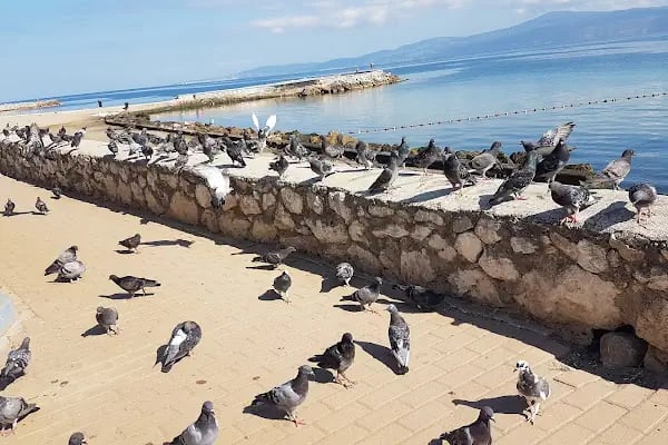 Burgaz Halk Plajı - Resim 10