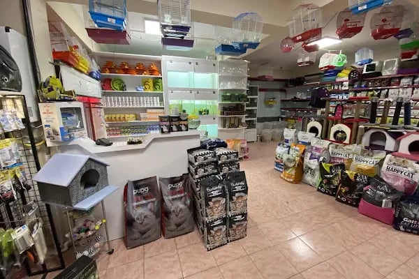 ÇARLİ PETSHOP - Resim 2