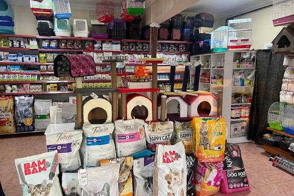 ÇARLİ PETSHOP - Resim 4