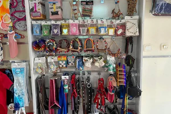 ÇARLİ PETSHOP - Resim 3