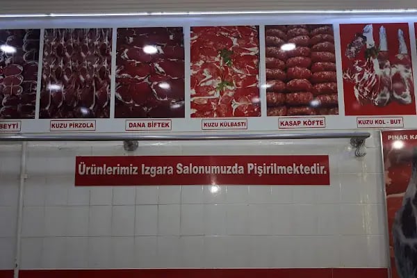 Pınar Izgara - Resim 10