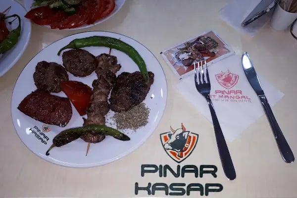 Pınar Izgara - Resim 13