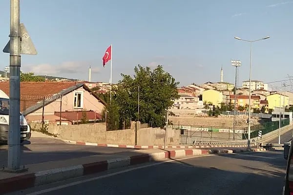 Pınar Izgara - Resim 15