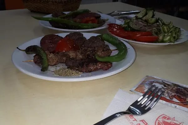 Pınar Izgara - Resim 12