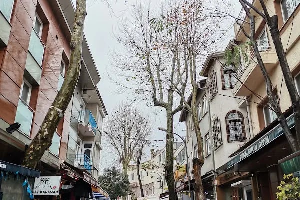 Araba Meydanı - Resim 13