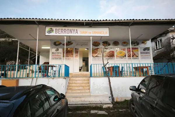 Berronya Restoran (Et, Balık, Köfte, Kahvaltı) - Resim 2