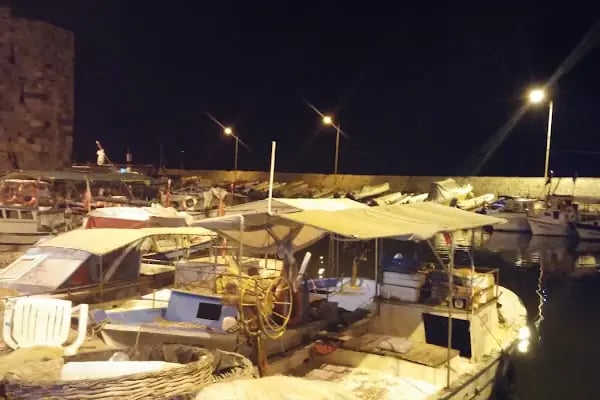 Yumurtalık Limanı - Resim 14