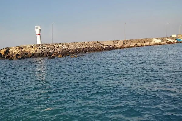Yumurtalık Limanı - Resim 6
