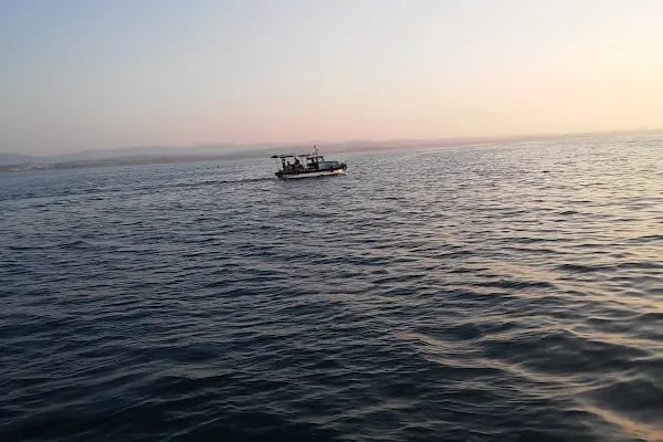 Yumurtalık Limanı - Resim 17