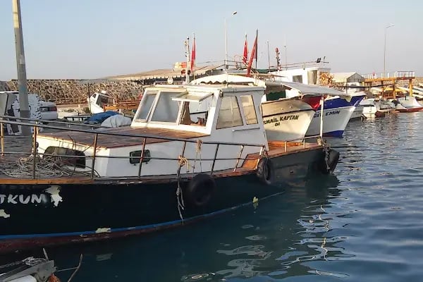Yumurtalık Limanı - Resim 7