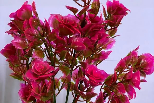 BULUT DEKORUM - Resim 16