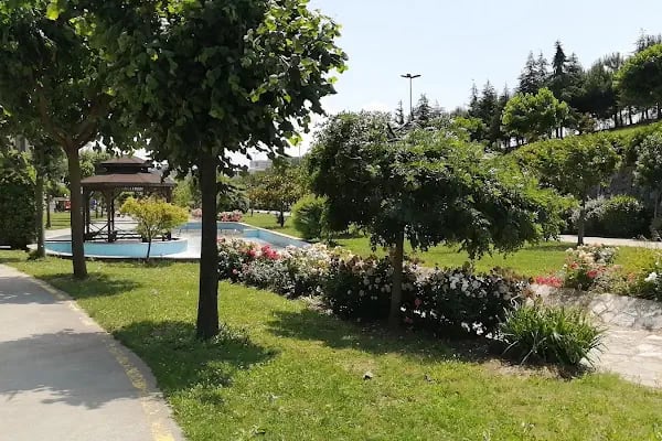 Sular Vadisi - Resim 15