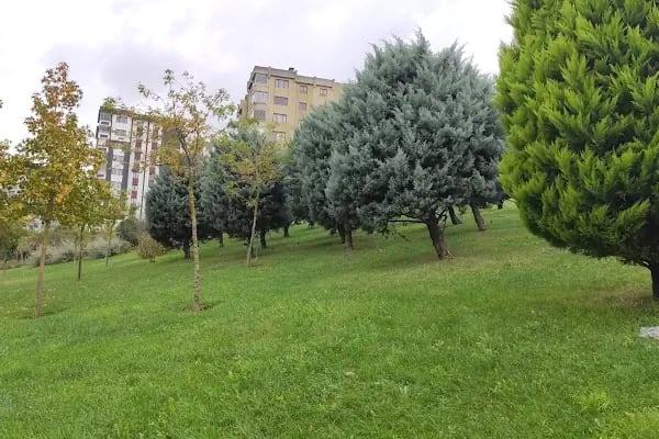 Sular Vadisi - Resim 17