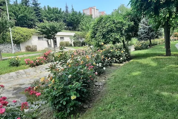 Sular Vadisi - Resim 16